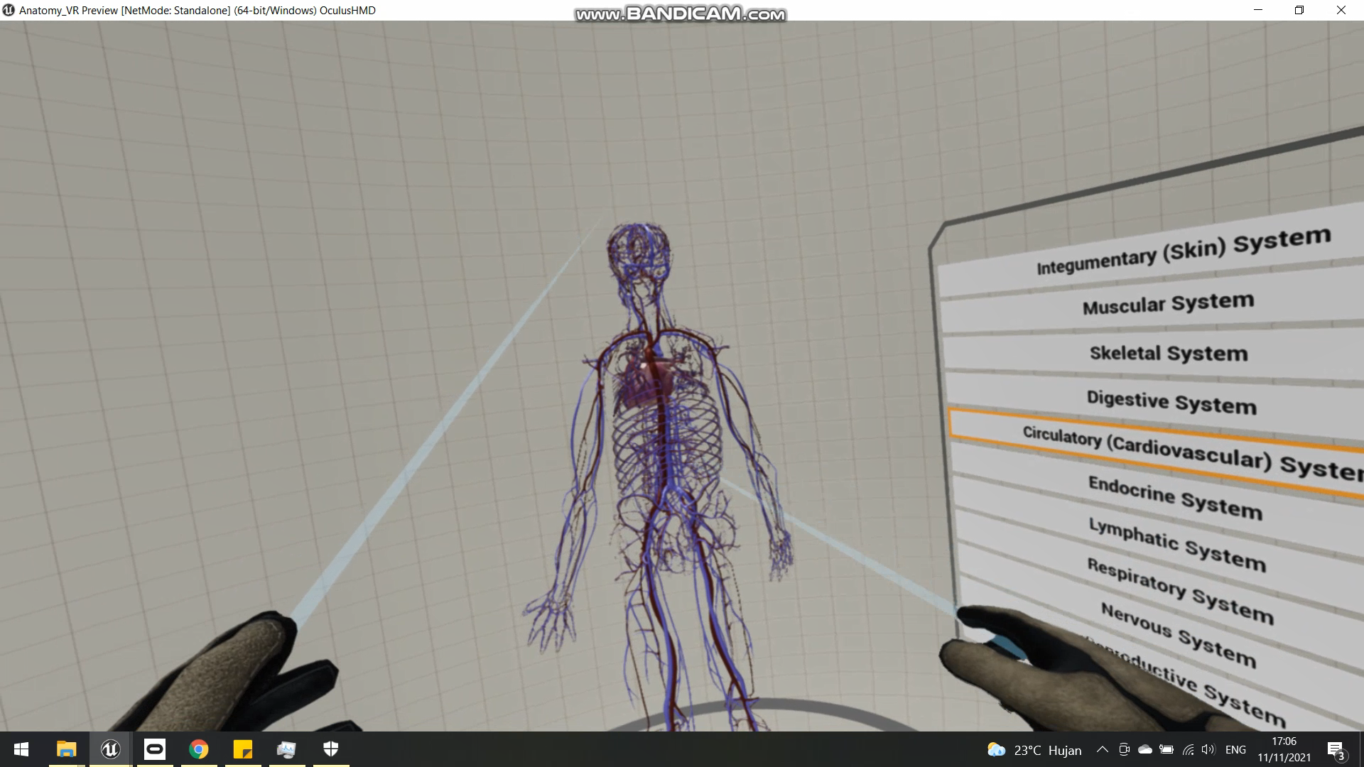 VR Anatomi 1